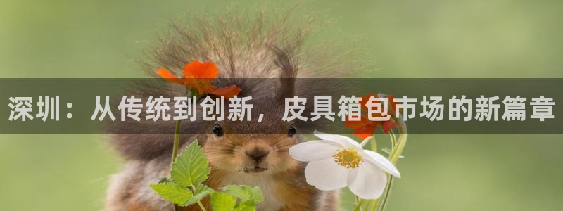 琳琅科技娱乐