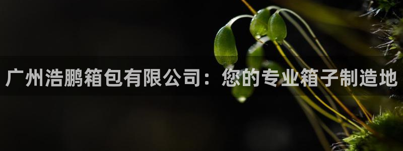 琳琅娱乐怎么样知乎