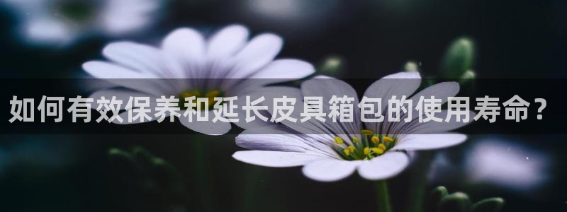 祖龙娱乐官网爱在琳琅