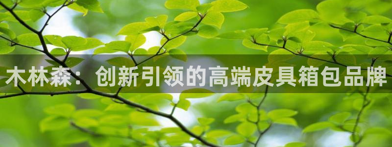 琳琅作者娱乐圈女主
