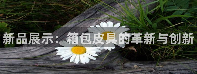 琳琅娱乐代理怎么做的