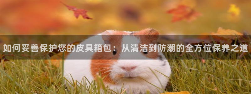 琳琅娱乐招商注册