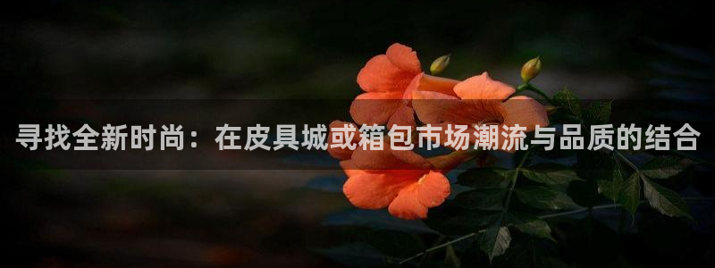 琳琅娱乐平台是真的吗知乎