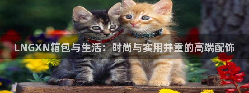 琳琅娱乐怎么样知乎