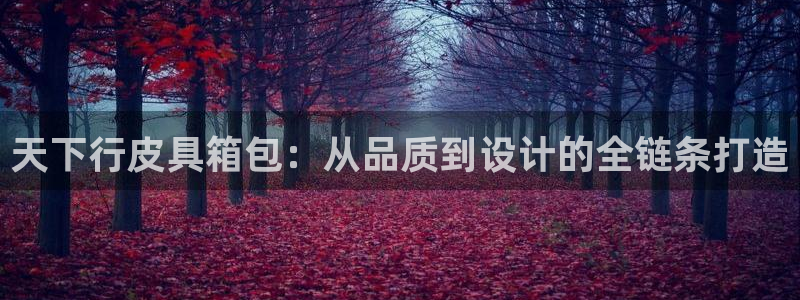 琳琅娱乐代理注册