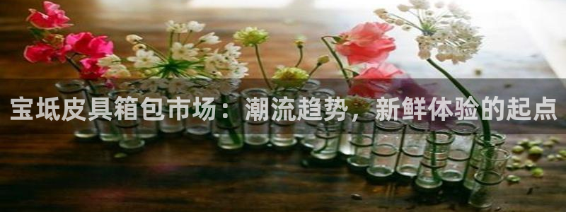 琳琅娱乐代理怎么样