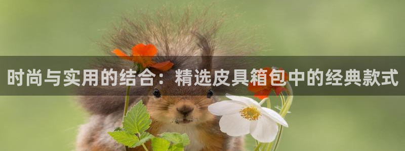 琳琅娱乐是什么