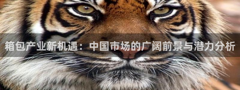 琳琅娱乐平台是真的吗