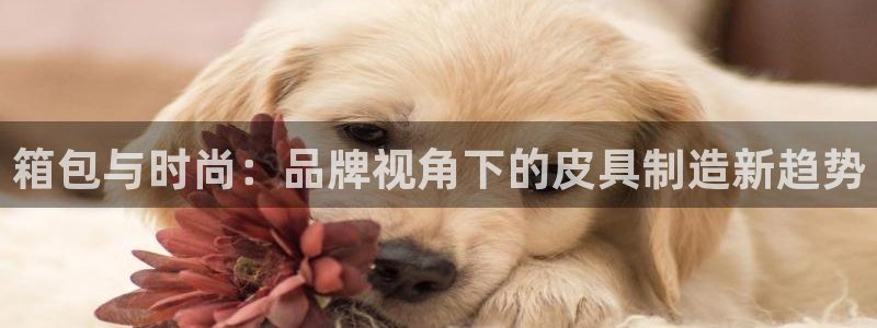 琳琅娱乐登入