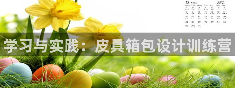 娱乐从琳琅榜开始的小说