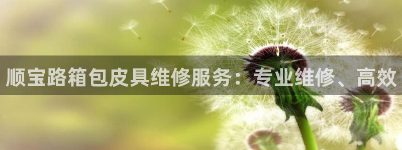 琳琅娱乐在线注册