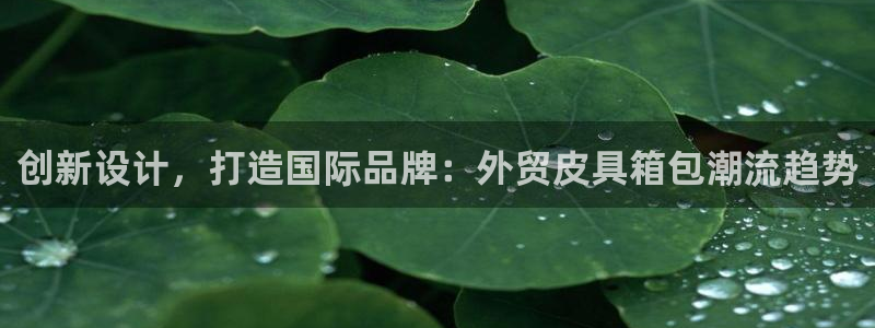 娱乐从琳琅榜开始的小说