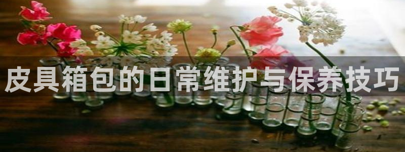 琳琅娱乐机器人