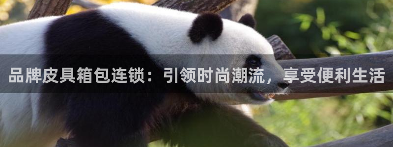 琳琅满目的娱乐设施