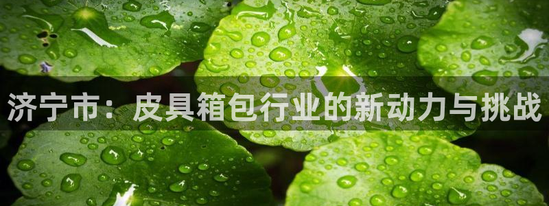 琳琅娱乐代理怎么做的