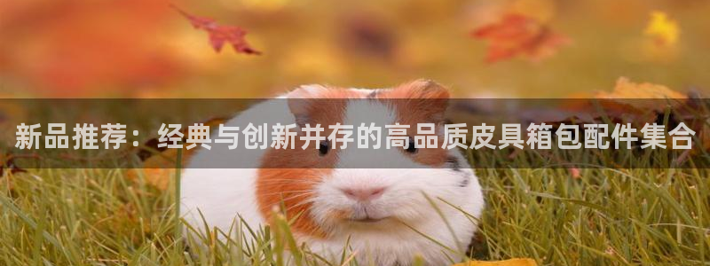 琳琅QQ娱乐机器人