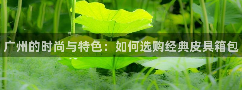 琳琅娱乐平台怎么样