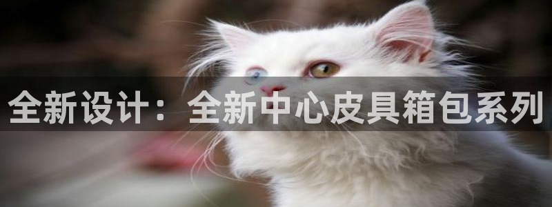 琳琅娱乐平台注册