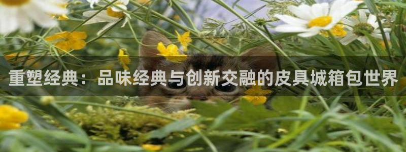 琳琅娱乐工作室地址