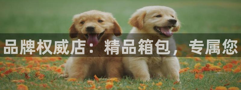 娱乐 从琳琅榜开始