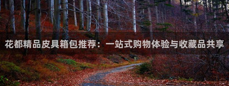 琳琅科技娱乐QQ机器人