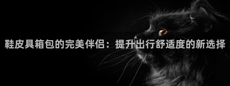 琳琅娱乐工作室招聘电话