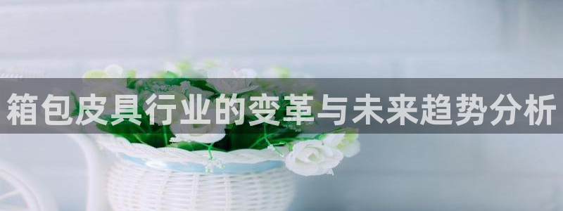 琳琅娱乐怎么样