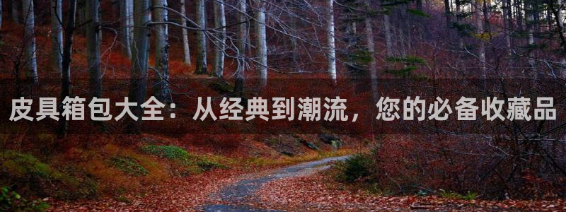 qq琳琅科技娱乐机器人