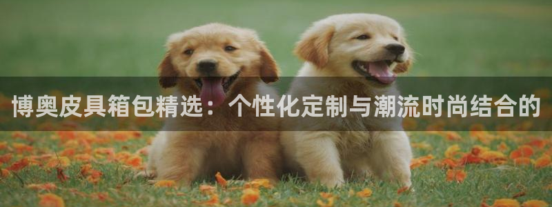 琳琅科技娱乐机器人插件