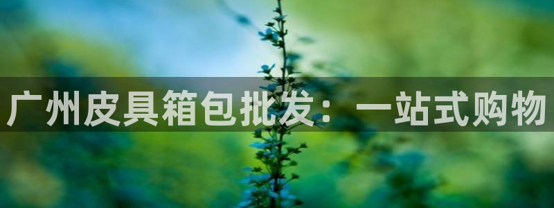 琳琅娱乐注册资金多少钱