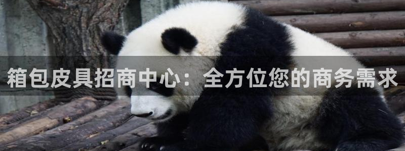 琳琅娱乐社区600u