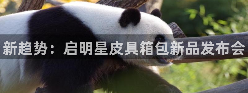 琳琅娱乐代理怎么做