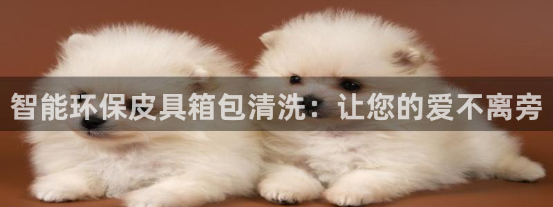 娱乐从琳琅榜开始的小说