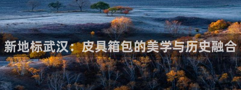 琳琅娱乐代理人是谁