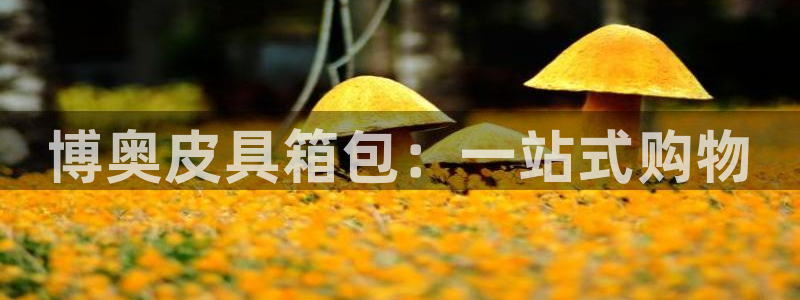 琳琅娱乐温柔乡网站