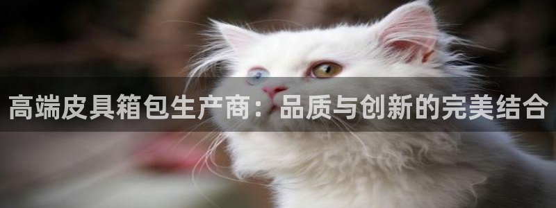 琳琅娱乐代理怎么做的