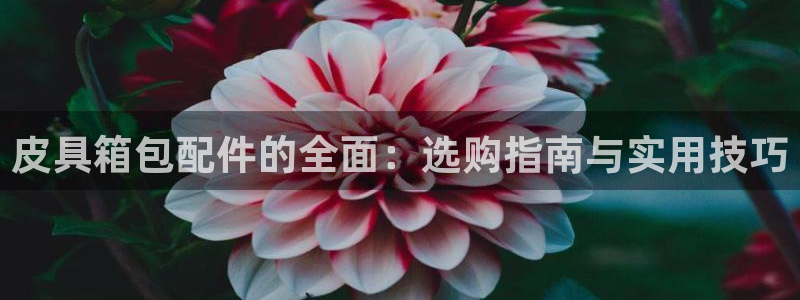 琳琅娱乐工作室