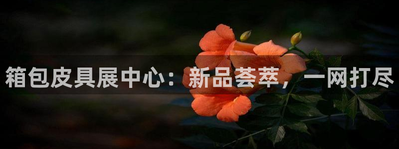 琳琅娱乐平台怎么样可靠吗