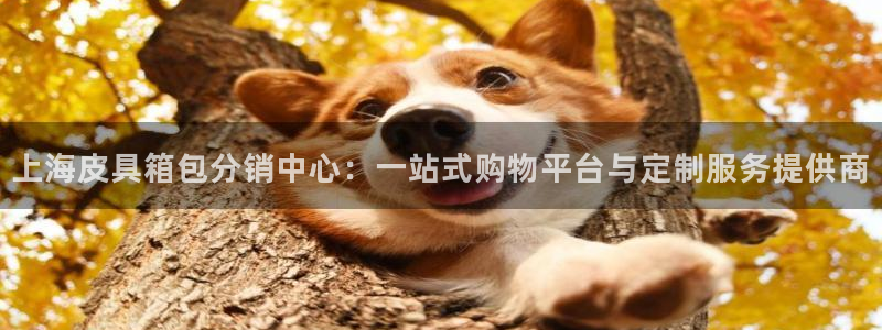 琳琅娱乐机器人