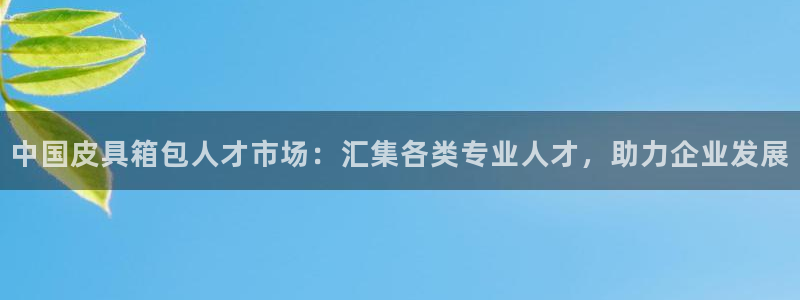 琳琅满目的娱乐设施