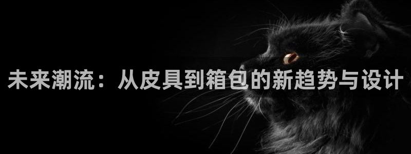 琳琅科技娱乐机器人教程