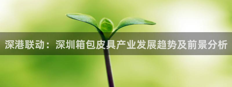 qq琳琅科技娱乐机器人