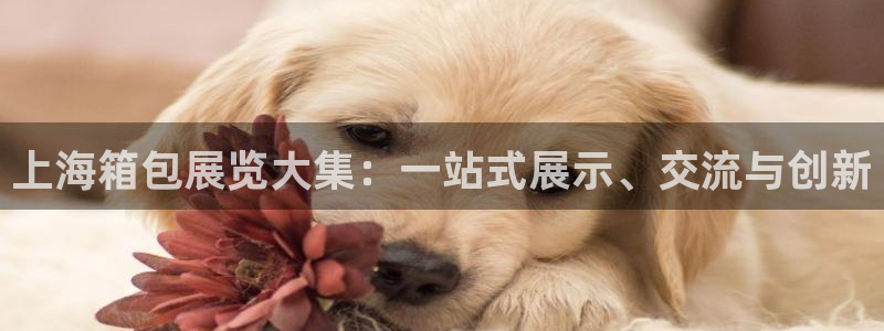 琳琅社区文艺娱乐