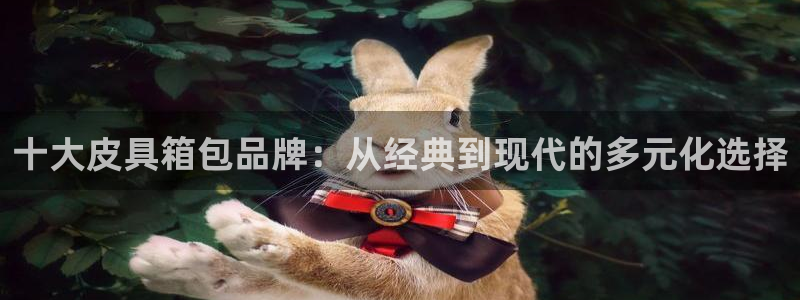 琳琅娱乐平台登陆