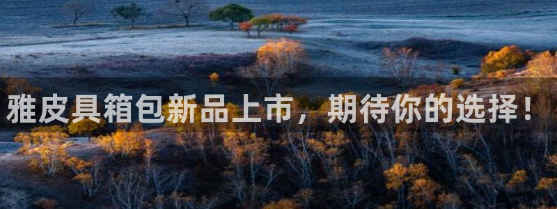 琳琅社区文艺娱乐