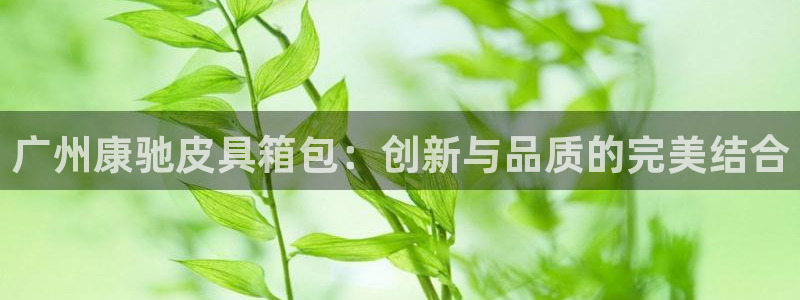 琳琅娱乐注册登录官网