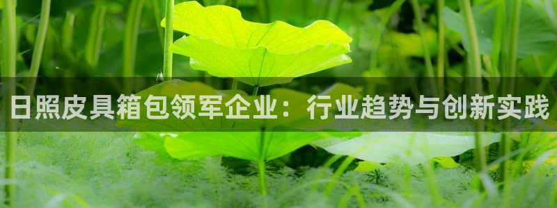 琳琅科技娱乐qq机器人词库