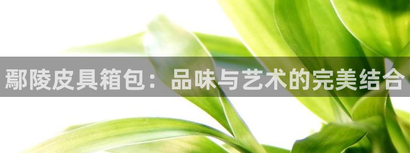 琳琅娱乐注册登录官网