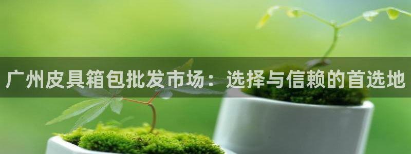 琳琅娱乐主管是谁