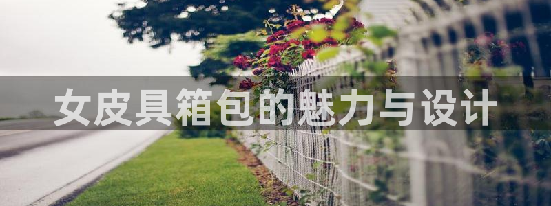 琳琅娱乐代理怎么做